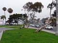 Newport Beach P1010796